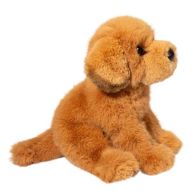 25 12 August Gold Dog 247