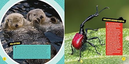 Weirdest Animals On The Plant PA26