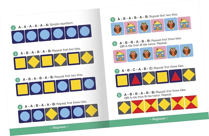 Pattern Recognition Game EEB24