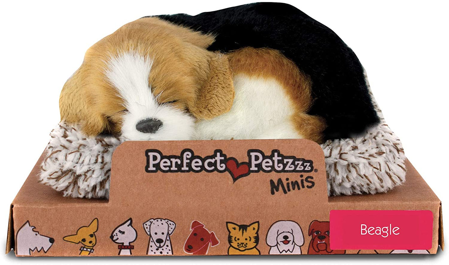 25 M Beagle Mini 198