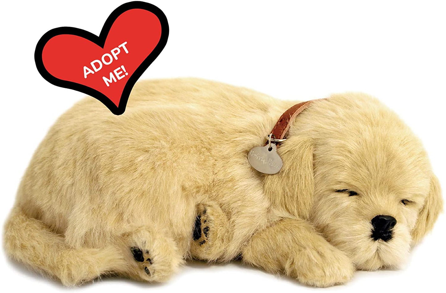 25 Golden Retriever 159