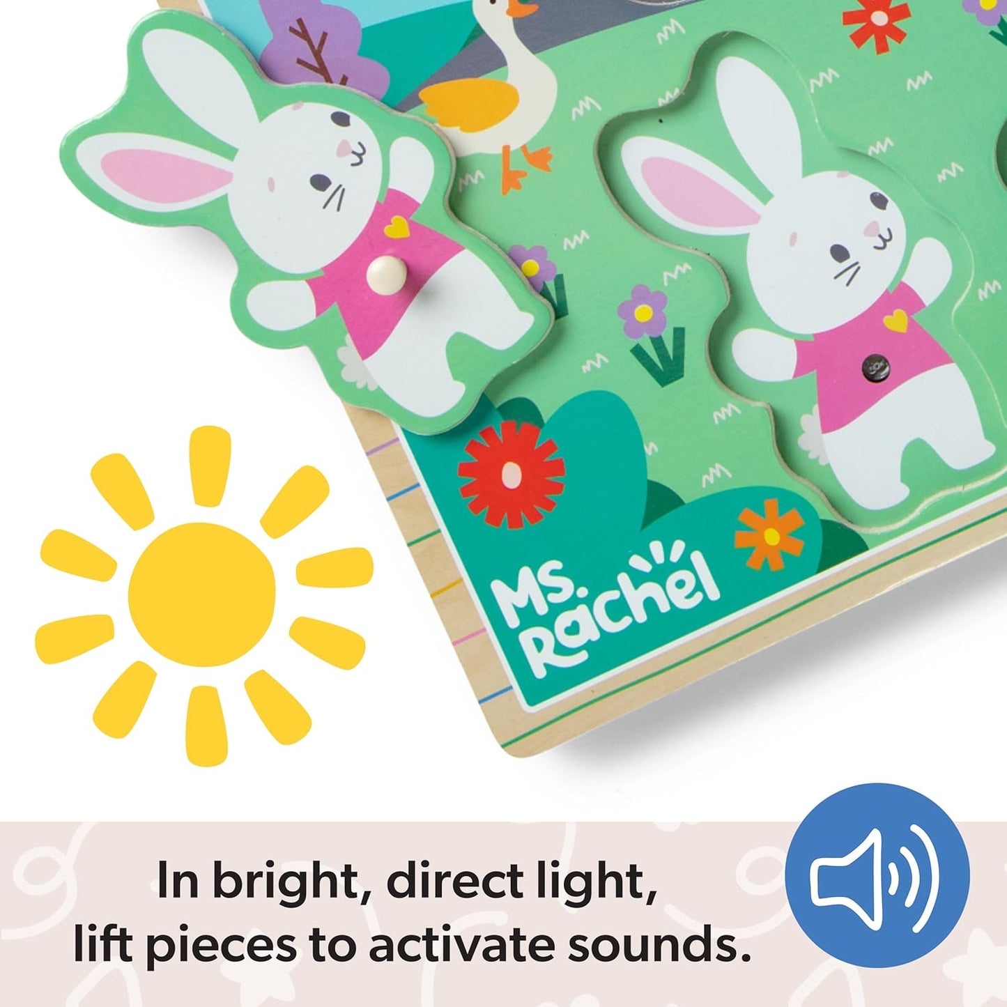 26 Sound Puzzle Rachel249