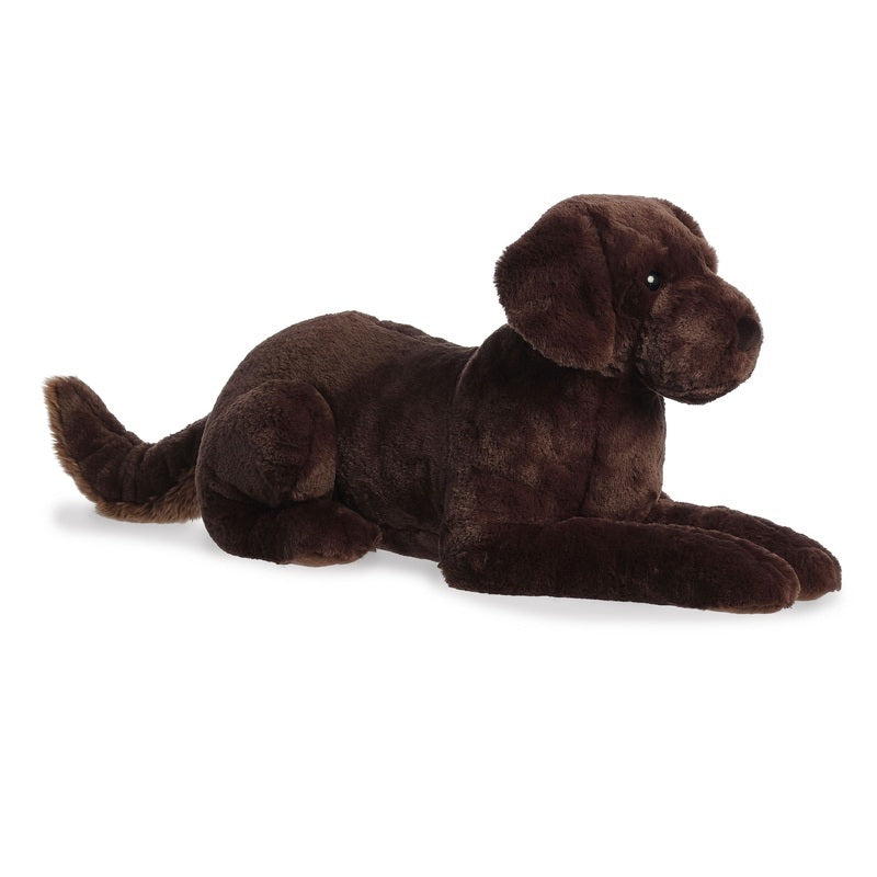 25 25 Chocolate Lab 232