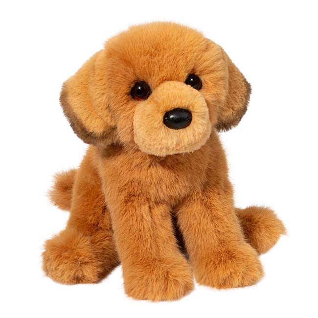 25 12 August Gold Dog 247