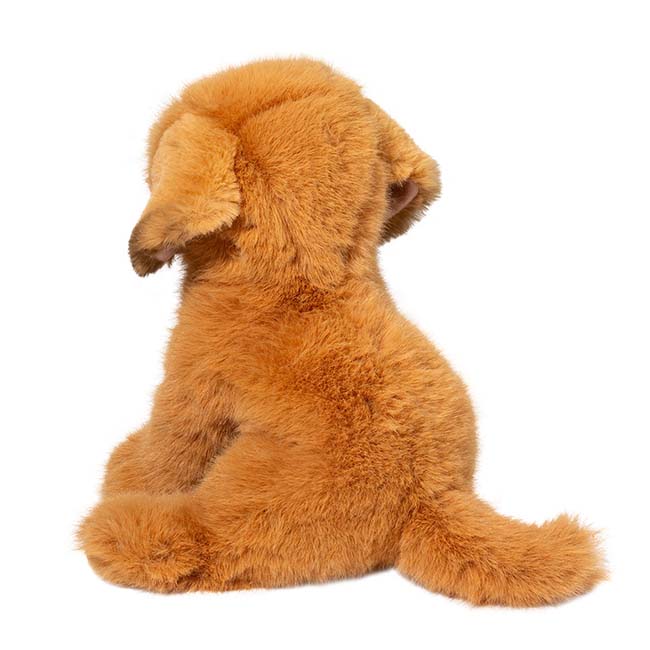 25 12 August Gold Dog 247