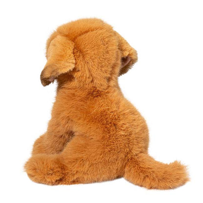 25 12 August Gold Dog 247