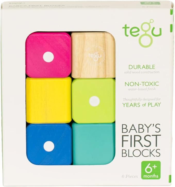 Babys First Blocks TEG25