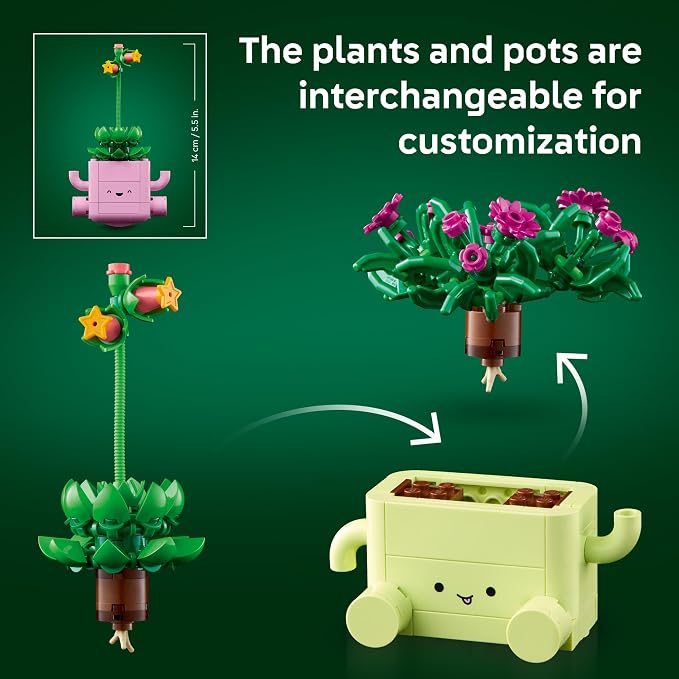 Rocking Plants LF26