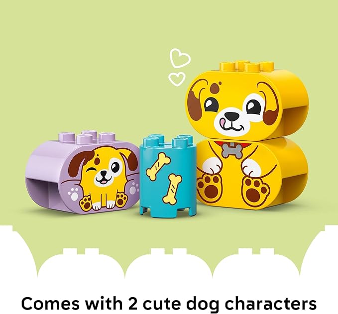 Shape Sorter Puppy House LF25