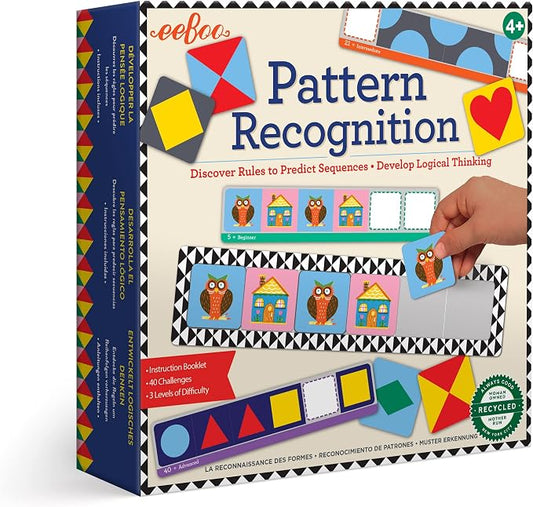 Pattern Recognition Game EEB24