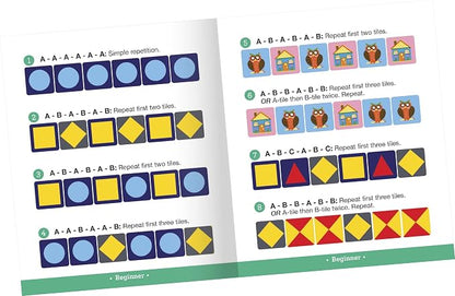 Pattern Recognition Game EEB24