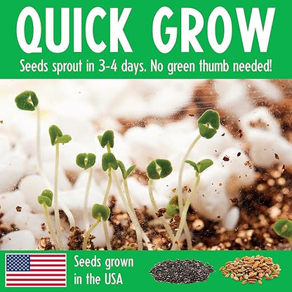 Grow n Glow Dino Terrarium CK25