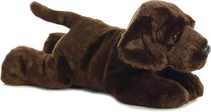 Max Choclate Lab 12” AA26