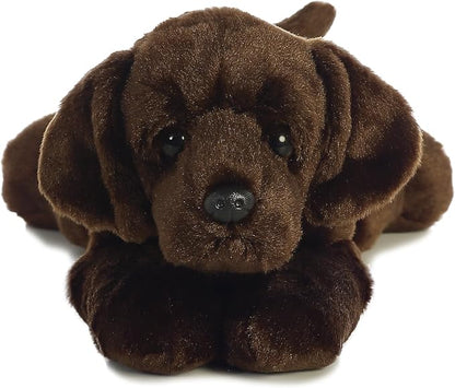 Max Choclate Lab 12” AA26