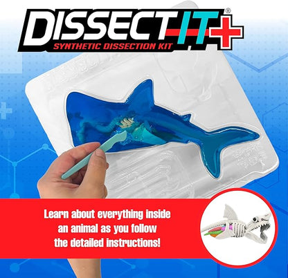 Shark Dissect IT LDT26