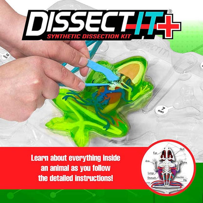 25 Dissect Frog Super 219