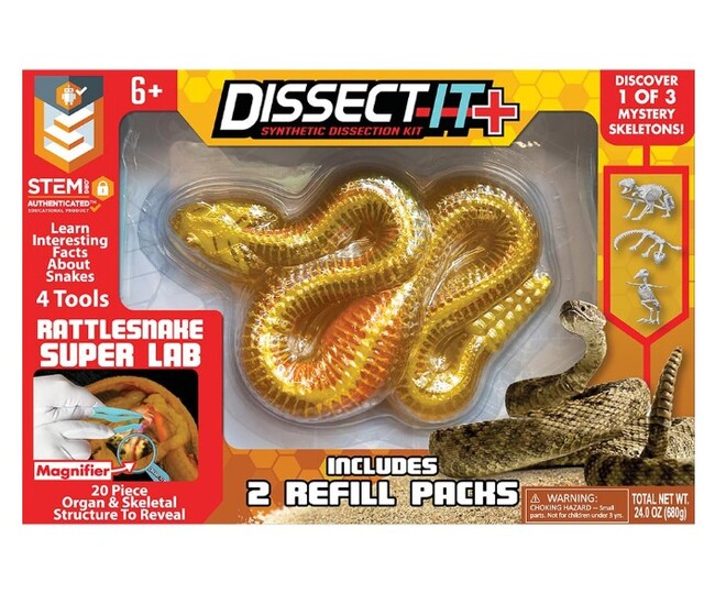 25 Rattlesnake Dissect247