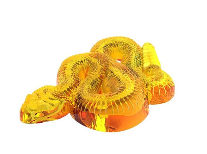 25 Rattlesnake Dissect247