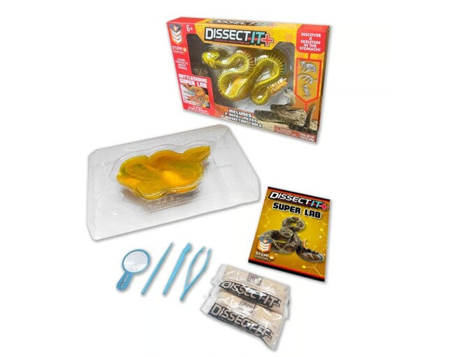 25 Rattlesnake Dissect247