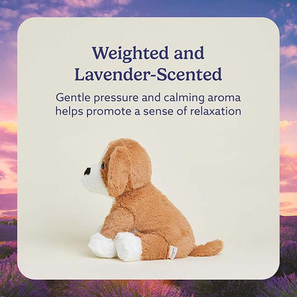 26 Beagle Warmies     259