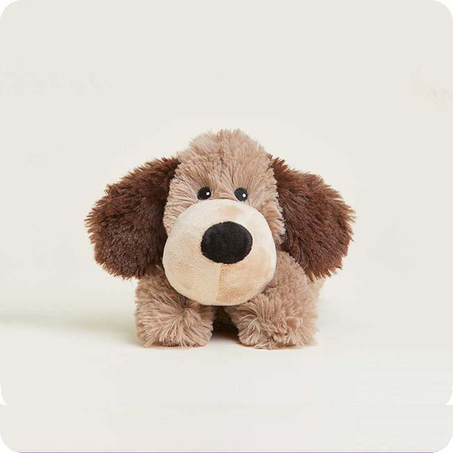 25 Jr Brown Dog Warmie256