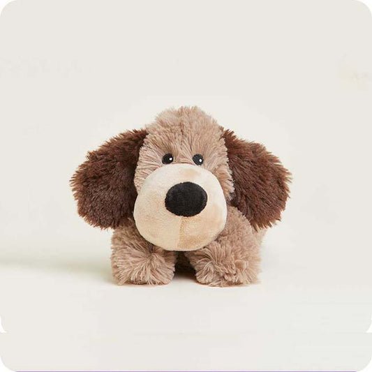 25 Jr Brown Dog Warmie256