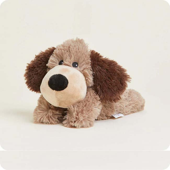 25 Jr Brown Dog Warmie256