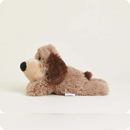 25 Jr Brown Dog Warmie256