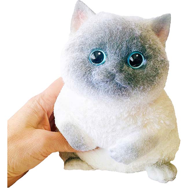 26 Cat Medium         257