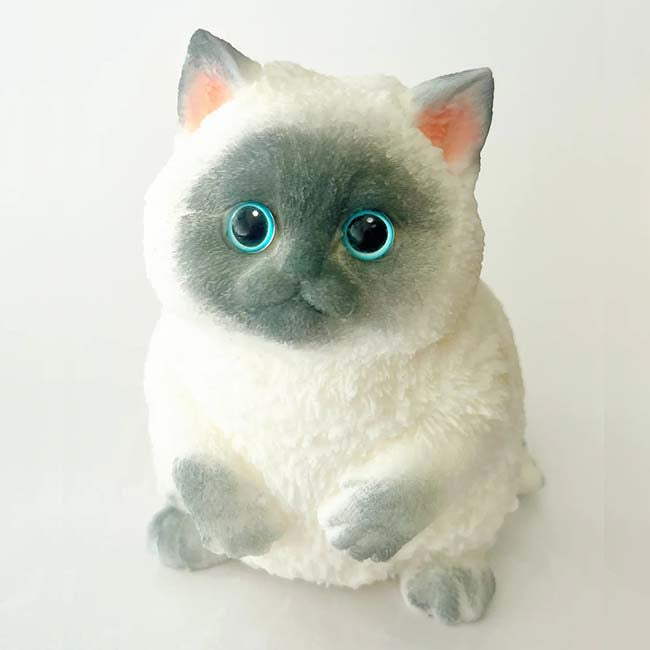 26 Cat Medium         257