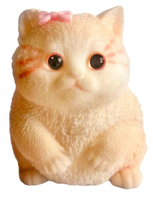 26 Pk Mega Kitty Squis261