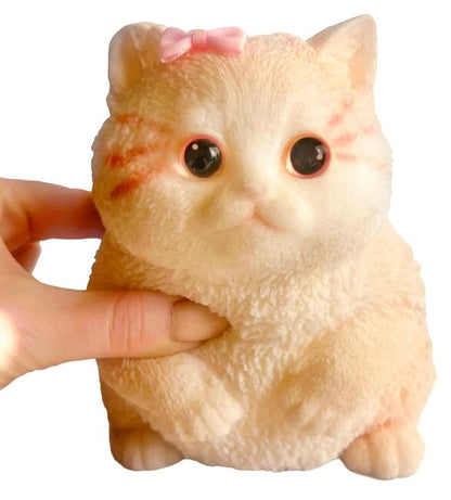 26 Pk Mega Kitty Squis261