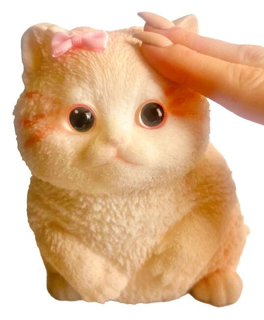 26 Pk Mega Kitty Squis261