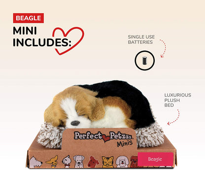 25 M Beagle Mini      198