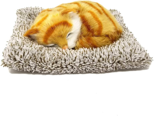 25 M Orange Tabby Mini198