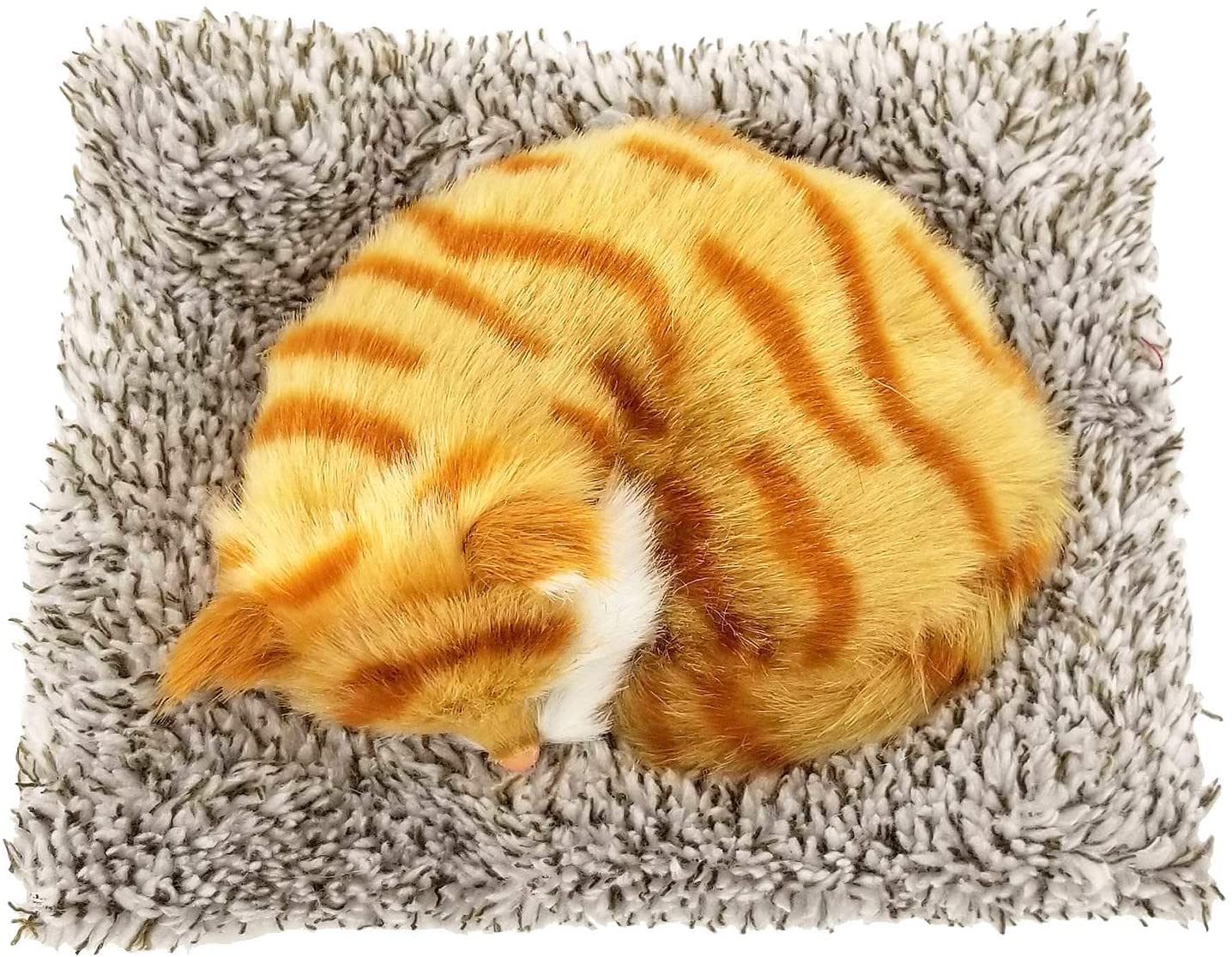 25 M Orange Tabby Mini198