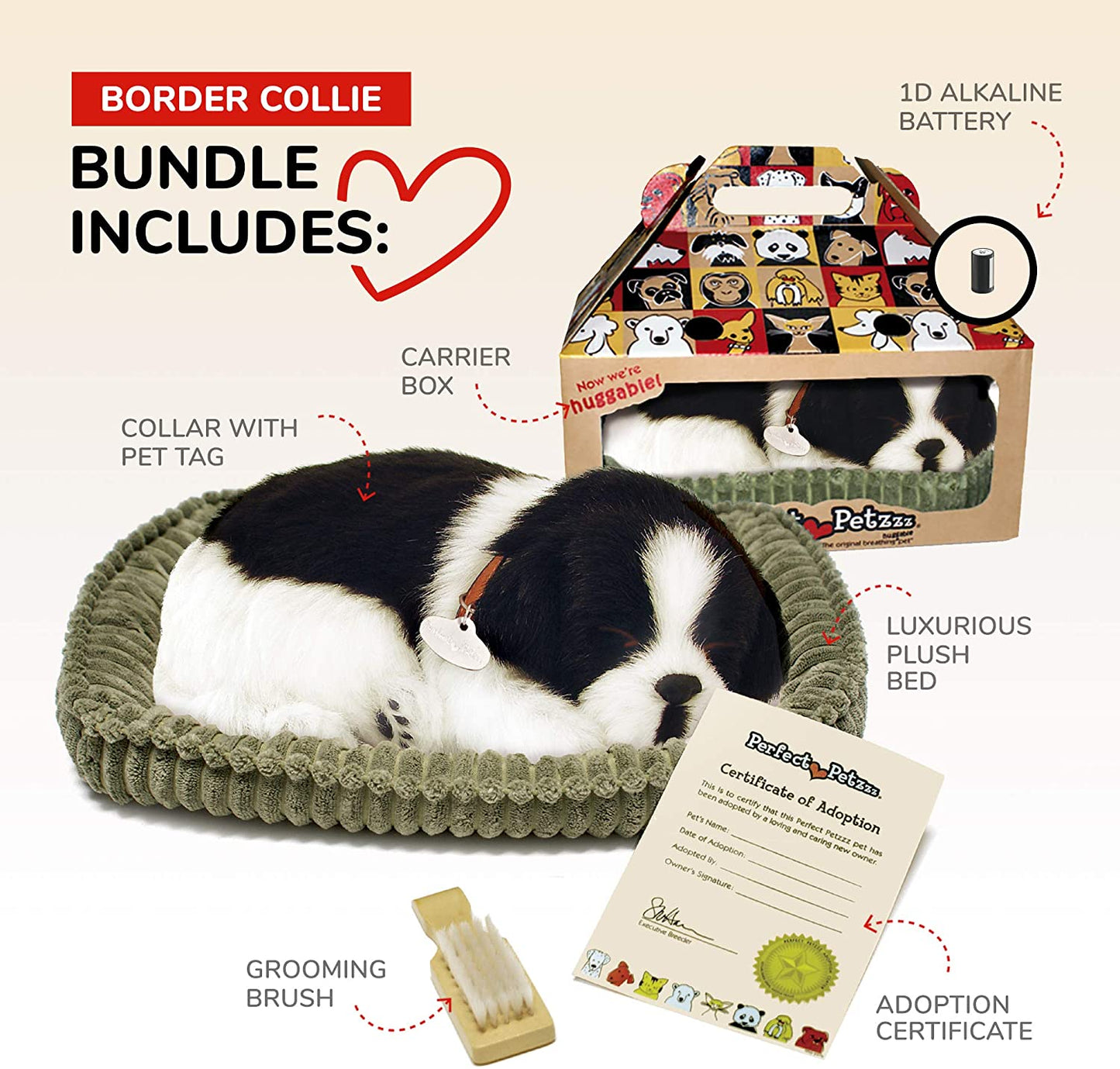 25 Border Collie Perfe247