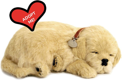 25 Golden Retriever   159