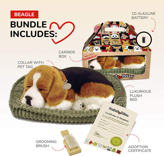 25 Beagle Perfect Pet 187