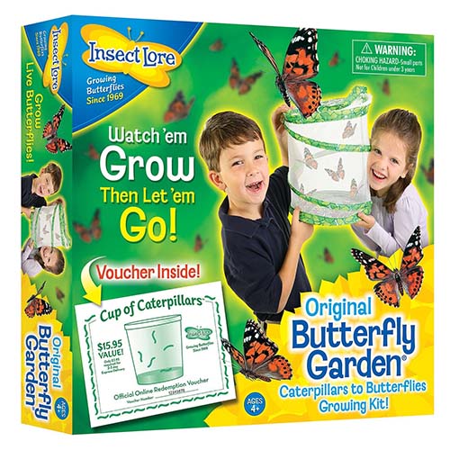 25 Butterfly Garden   171