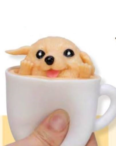 26 B Pup in a Cup Puppy 2