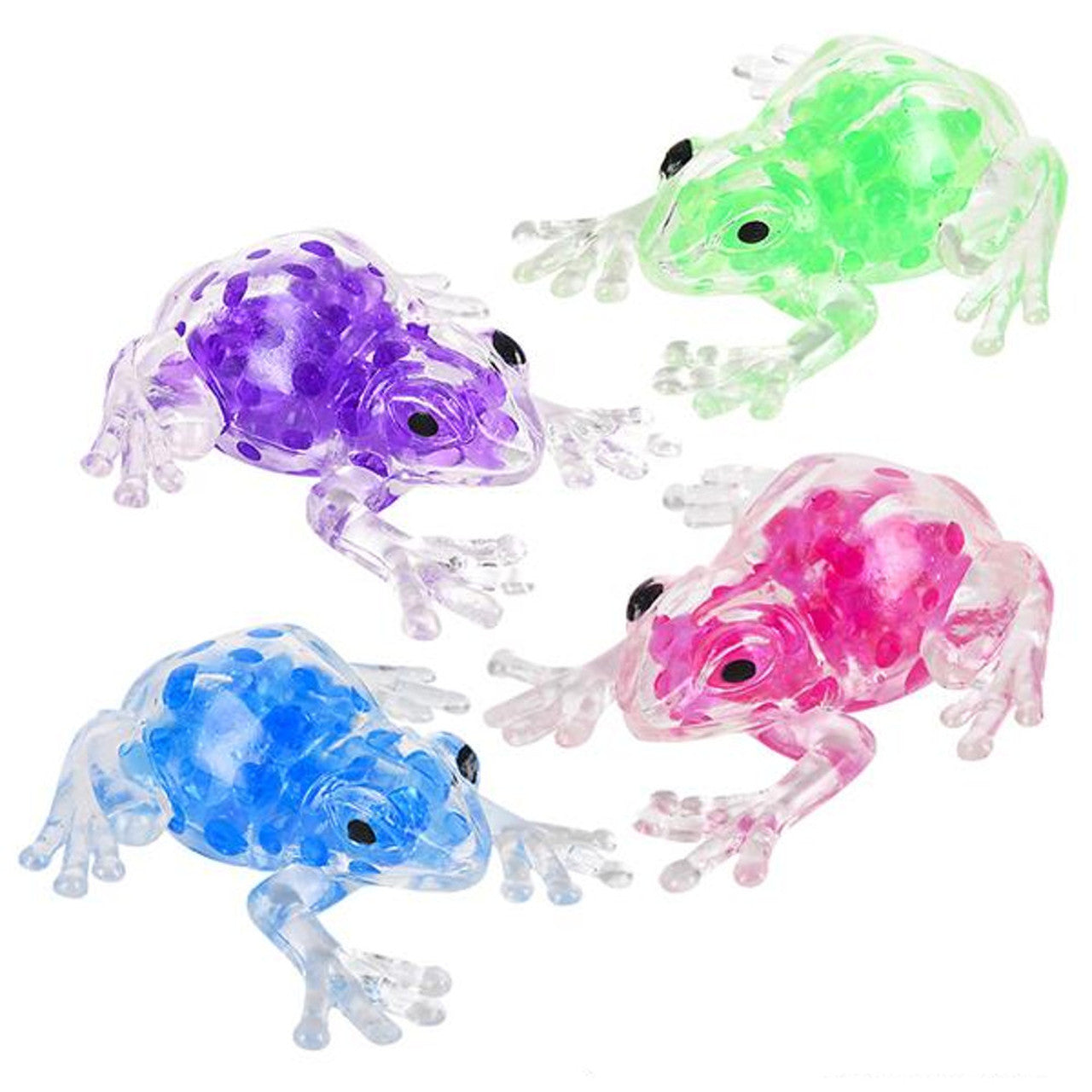 23 B Squish Frog Colornro