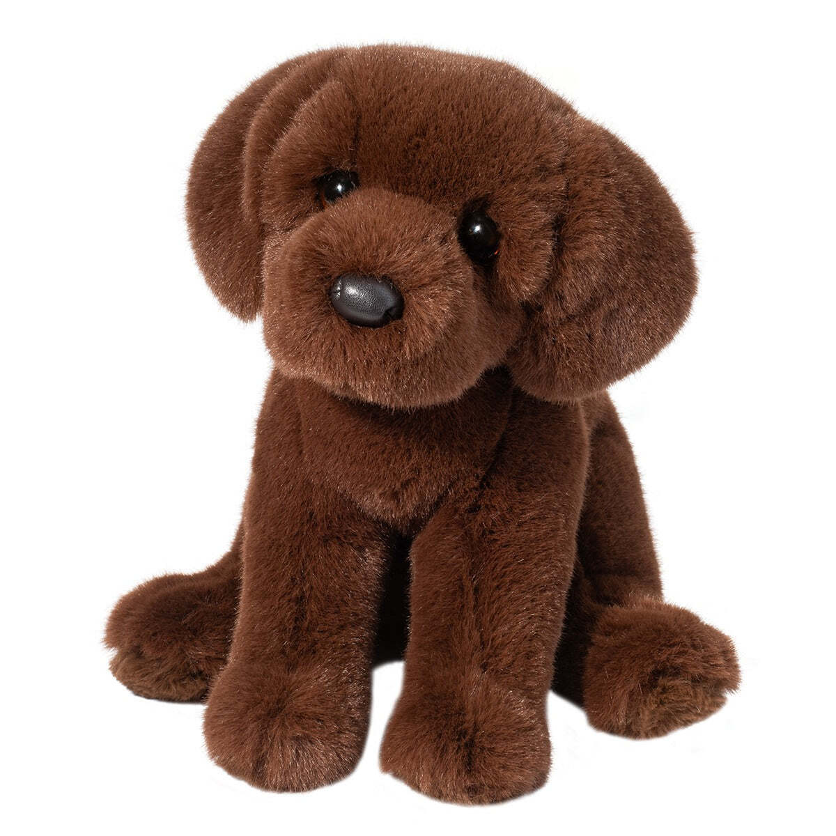 25 12 Zoom Choc Lab   247
