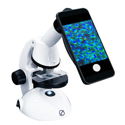 25 Microscope Thames  247