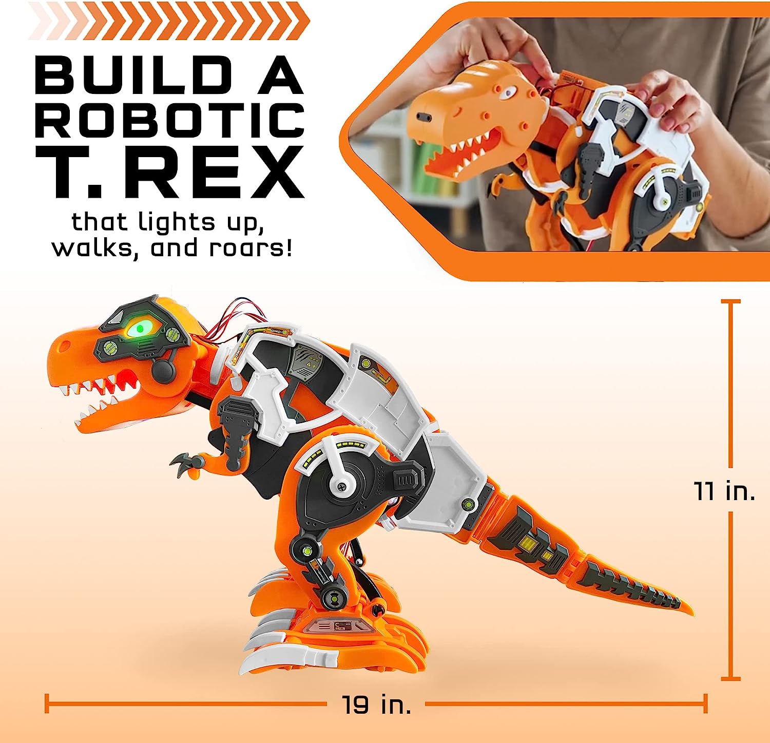 25 Rex Dino Robot Rc  233