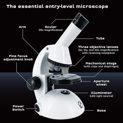 25 Microscope Thames  247