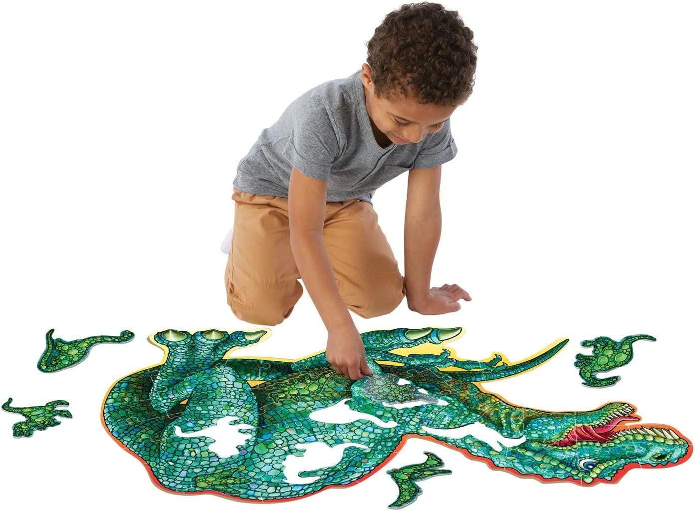 Shiny Dinosaur Puzzle