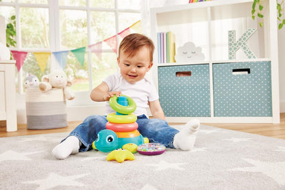 25 Stacking Turtle    251