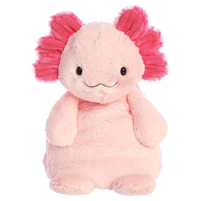 25 13 Assuring Axolotl249