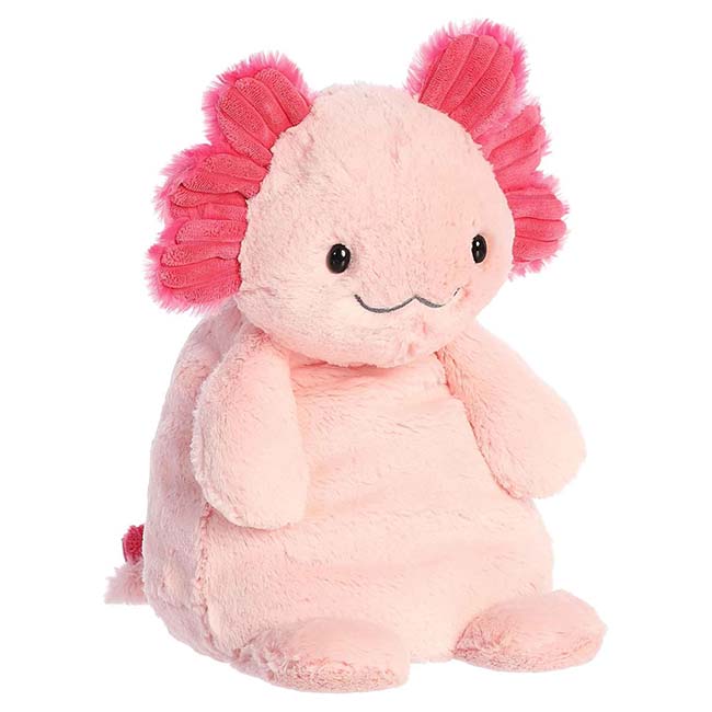 25 13 Assuring Axolotl249